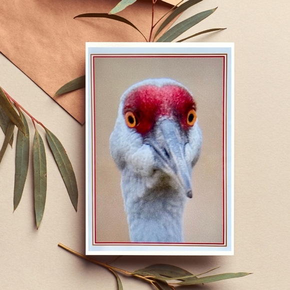 4ct Assortment of Colorado Cards and Envelopes - Picture 2 of 16